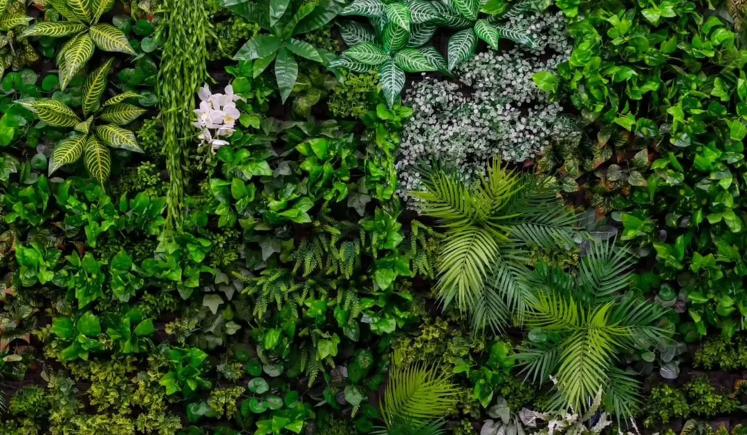 Biophilic Interior Design: Inviting Nature Into Your Home