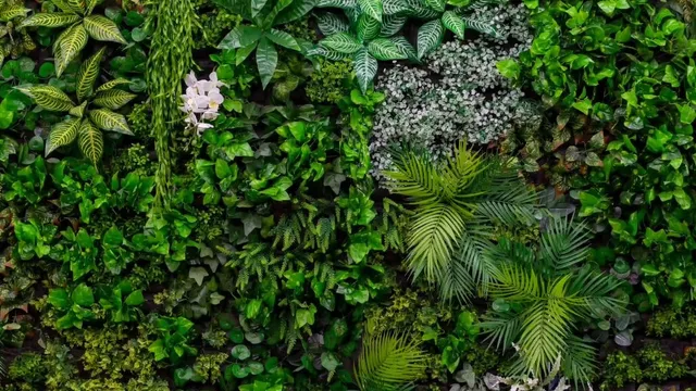 Biophilic Interior Design: Inviting Nature Into Your Home