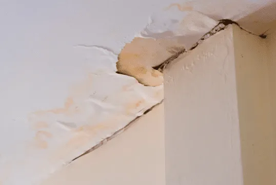 6 Signs That You Need a New Roof (Especially in Minnesota)