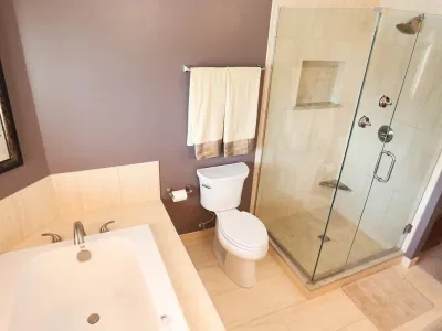 Lakeville Three-Bathroom Remodel with Sliding Barn Door – photo 5