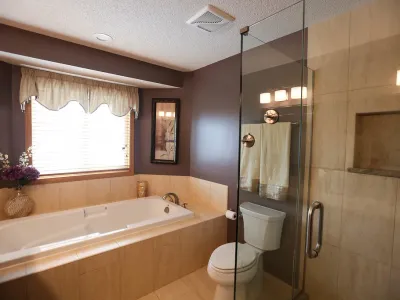 Lakeville Three-Bathroom Remodel with Sliding Barn Door – photo 6